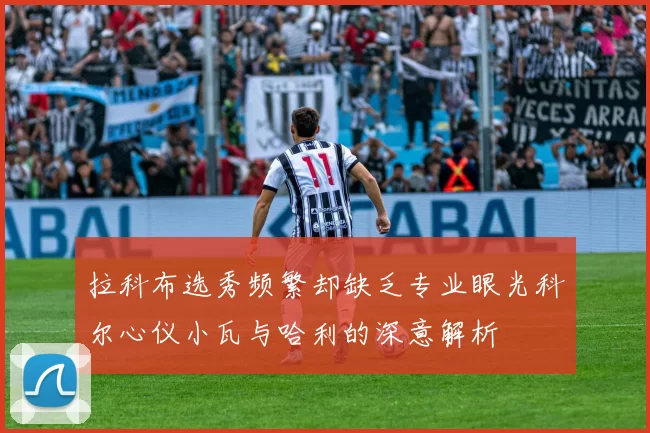 拉科布选秀频繁却缺乏专业眼光科尔心仪小瓦与哈利的深意解析